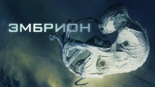Эмбрион (2020)