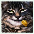 Фотография Хамитова Стаса