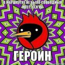 Фотография Четвертных Анастасии