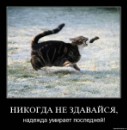 Вікочка Шелемба фотография #32 (источник - https://vk.com/id70260429)