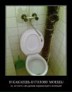 Богдан Посікіра фотография #42 (источник - https://vk.com/id58787466)