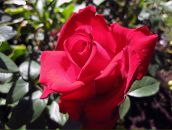 Эрика Быстрова фотография #28 (источник - https://vk.com/id111663)