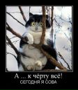 Дмитрий Зацепин фотография #35 (источник - https://vk.com/id2664635)