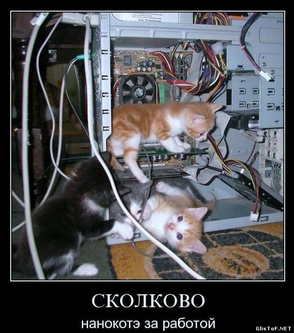 Random Random фотография #2