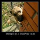 Віктор Венгриновський фотография #22 (источник - https://vk.com/id70276041)