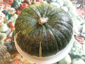 Фотография Петрова Сергея