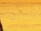 Аня Хасанова фотография #36 (источник - https://vk.com/id231013)