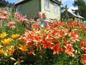 Фотография Костаревой Любови