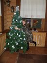 Фотография Даниловой Светланы