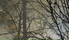 Вася Петя фотография #23 (источник - https://vk.com/id29331749)