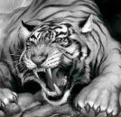 Ігор Гарасимчук фотография #15 (источник - https://vk.com/id51624965)