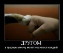 Фотография Царинного Андрея
