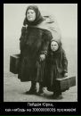 Фотография Алексютиной Елены