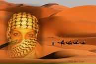 Фотография Хидир Ольги