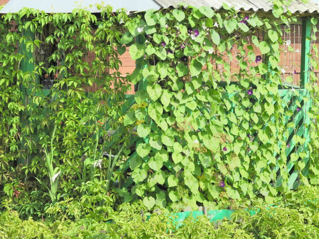 Илья Маслов фотография #48