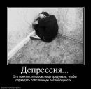 Фотография Занобеда Максима