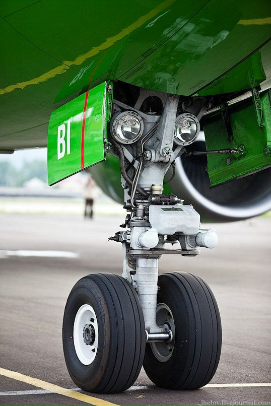 Кот Бегемот фотография #27