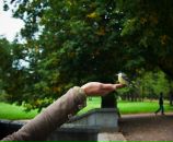 Фотография Авантюристки Ласточки