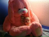 Фотография Небесихина Дмитрия