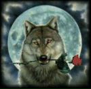 Макс Ильичев фотография #11 (источник - https://vk.com/id45324)