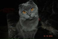 Фотография Лысова Дмитрия