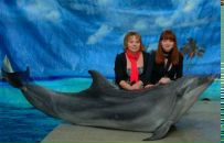 Фотография Ильичев Александр