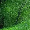Андріана Петерсон фотография #21 (источник - https://vk.com/id156584043)
