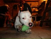 Сірьога Коробко фотография #48 (источник - https://vk.com/id31033448)