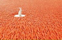 Фотография Романюка Івана