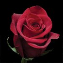 Κсения Βласова фотография #24 (источник - https://vk.com/id166448391)