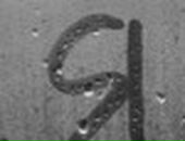 Анархистка Киш фотография #49 (источник - https://vk.com/id122052290)