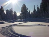 Антон Киселенко фотография #18 (источник - https://vk.com/id7526569)