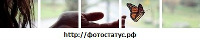 Наталія Цемах фотография #42 (источник - https://vk.com/id100687082)