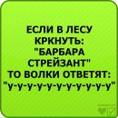 Іванка Пагутяк фотография #37 (источник - https://vk.com/id98898203)