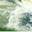 Сергій Гриник фотография #47 (источник - https://vk.com/id69985995)