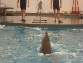 Нюта Якубів фотография #15 (источник - https://vk.com/id63750607)