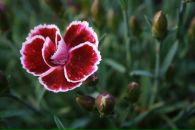 Фотография Архиповой Марии