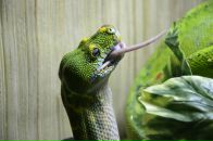 Сергій Момот фотография #24 (источник - https://vk.com/id3990608)