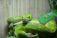 Сергій Момот фотография #18 (источник - https://vk.com/id3990608)