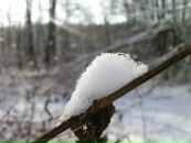 Михайло Сорокін фотография #45 (источник - https://vk.com/id17253856)