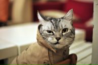 Фотография Белана Романа