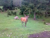 Інна Кашівська фотография #23 (источник - https://vk.com/id112360116)