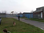 Саня Власенко фотография #9 (источник - https://vk.com/id72582244)