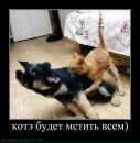 Максим Забіяка фотография #41 (источник - https://vk.com/id77546759)