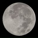 Фотография Новик Ксюшеньки