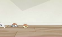 Віка Йосипів фотография #29 (источник - https://vk.com/id87356532)