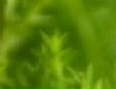 Аня Хасанова фотография #21 (источник - https://vk.com/id231013)