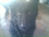 Бодік Козакевич фотография #2 (источник - https://vk.com/id139287504)