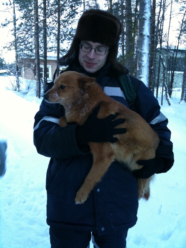 Виктор Степаненко фотография #5