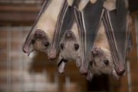 Варвара Мищенко фотография #34 (источник - https://vk.com/id1838784)